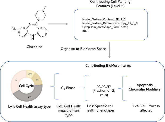 FIGURE 6: