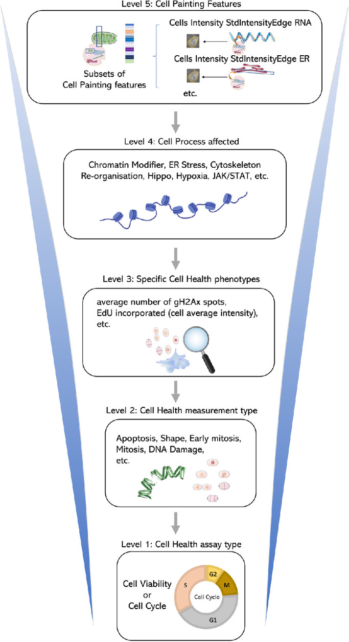 FIGURE 1: