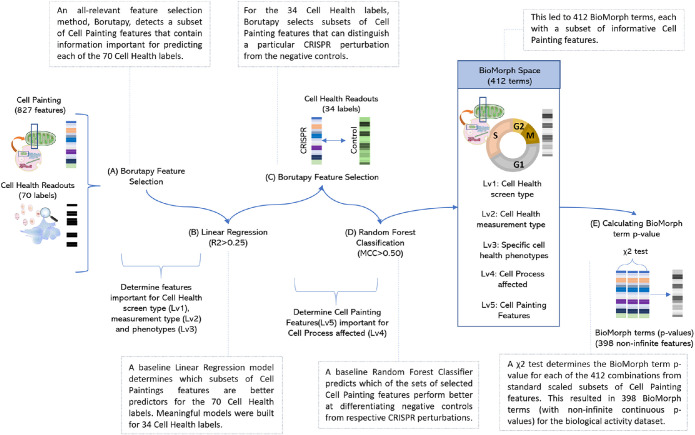 FIGURE 2: