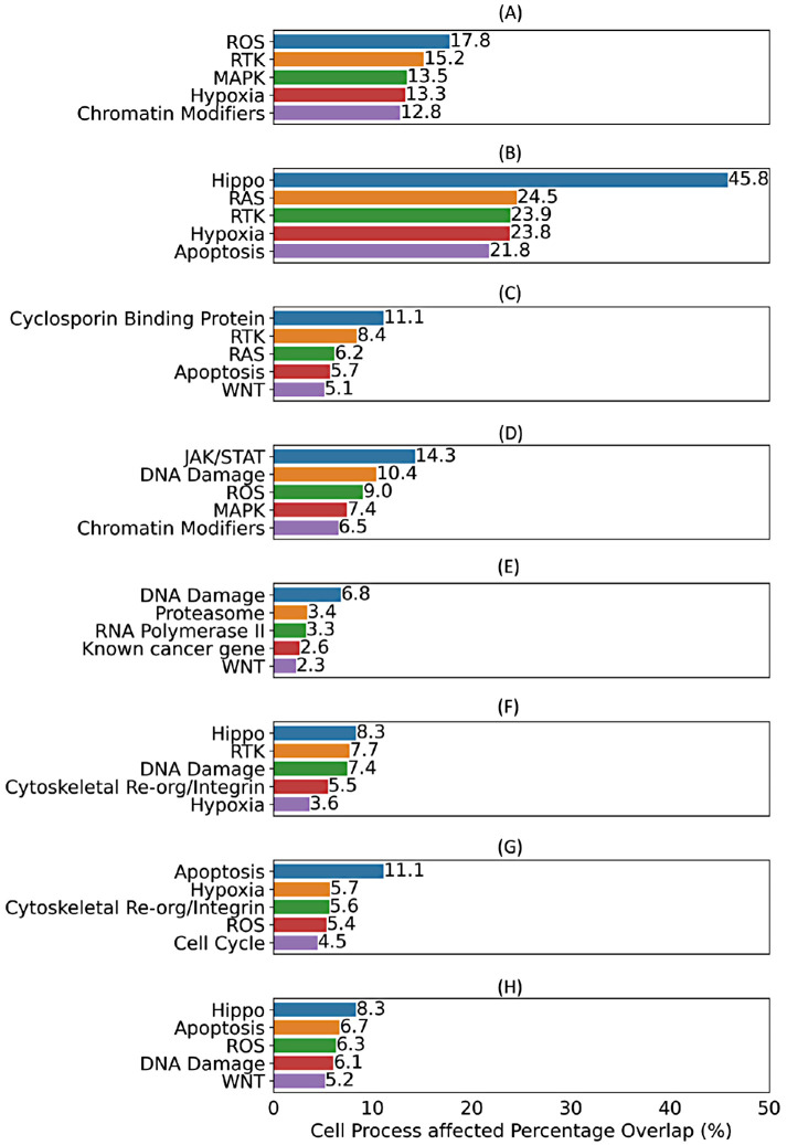 FIGURE 5: