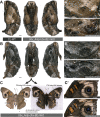 Figure 4—figure supplement 2.