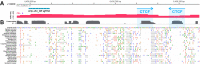 Figure 2—figure supplement 1.