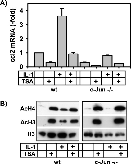 FIG. 9.