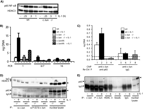 FIG. 10.