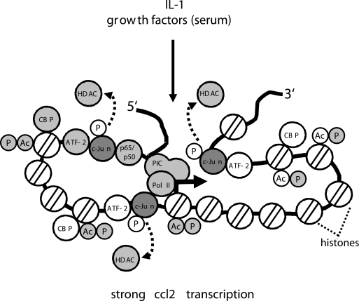 FIG. 12.