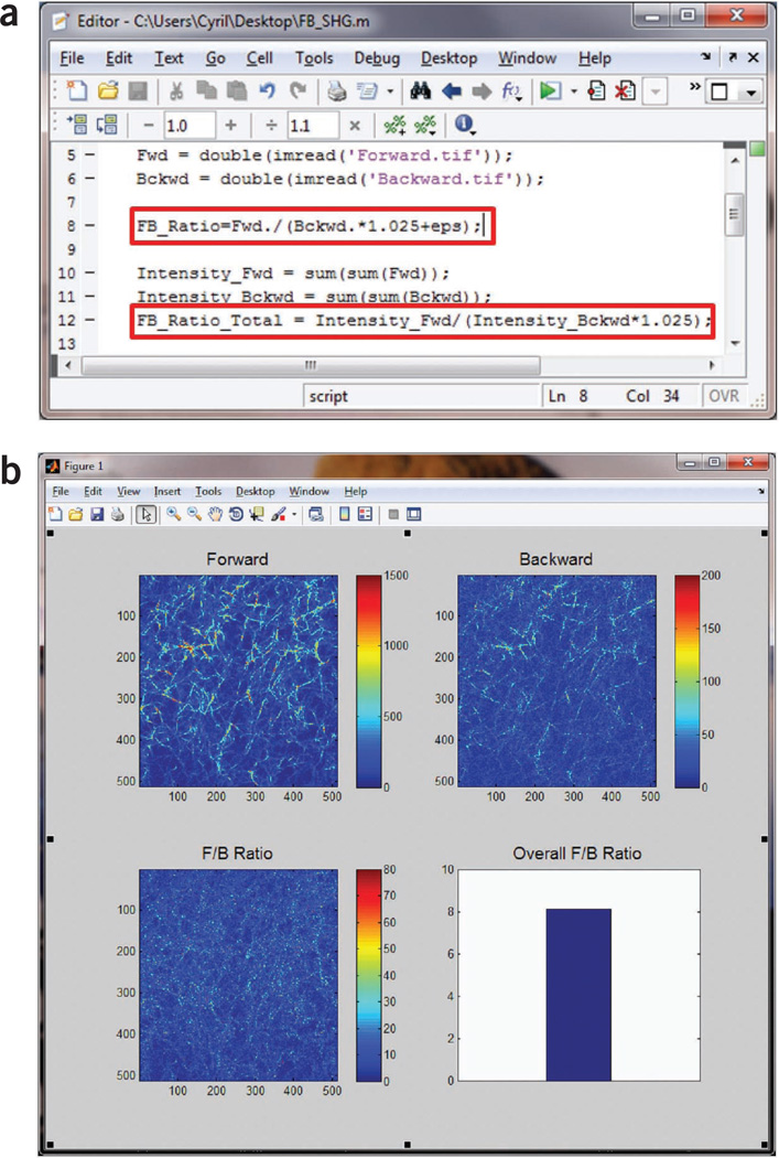 Figure 12