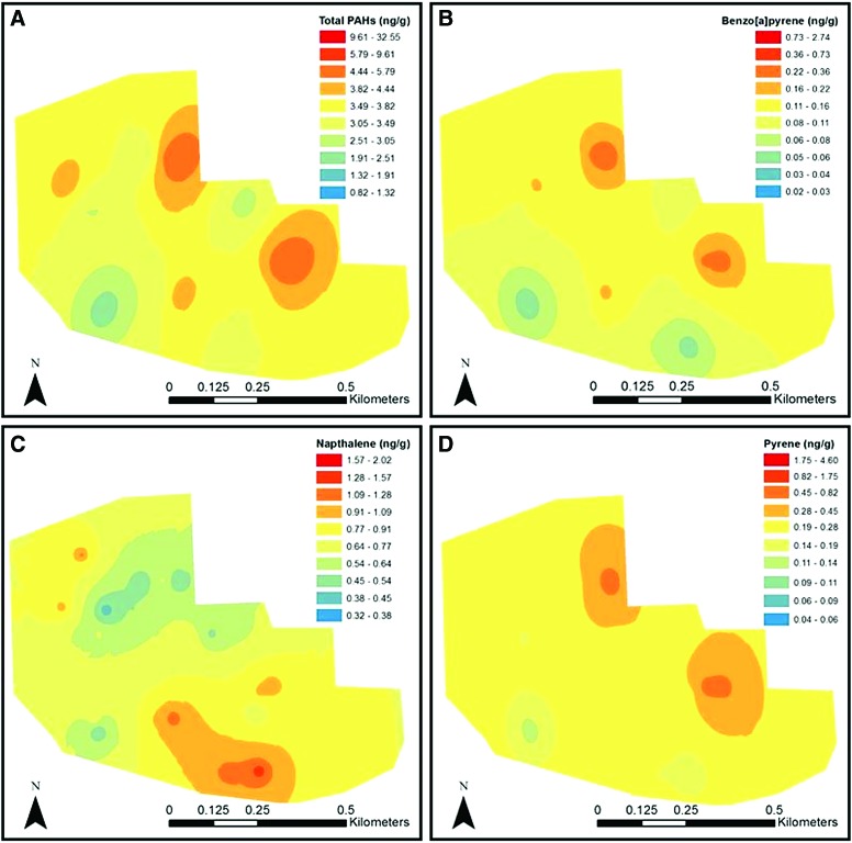 FIG. 3(A–D).