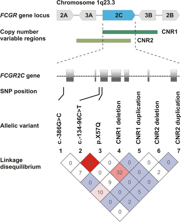 Fig. 2