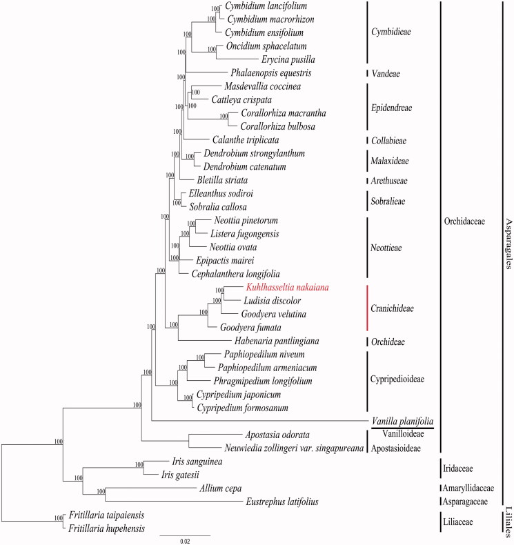 Figure 1.