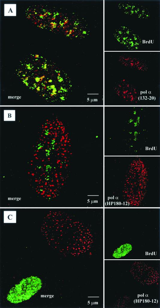 FIG. 7