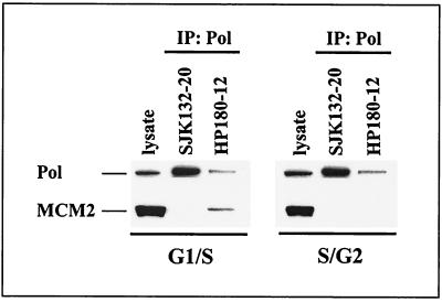 FIG. 8