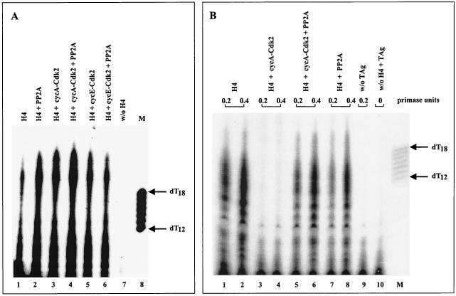 FIG. 5