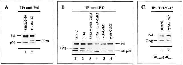 FIG. 6