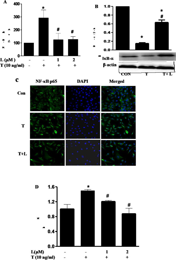 Fig.3