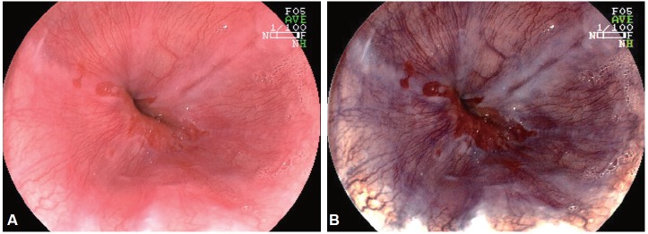 Fig. 8.