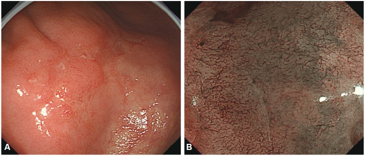 Fig. 10.