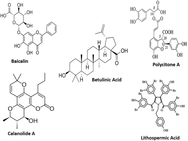 FIGURE 1