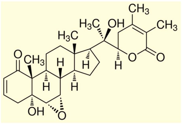 FIGURE 2