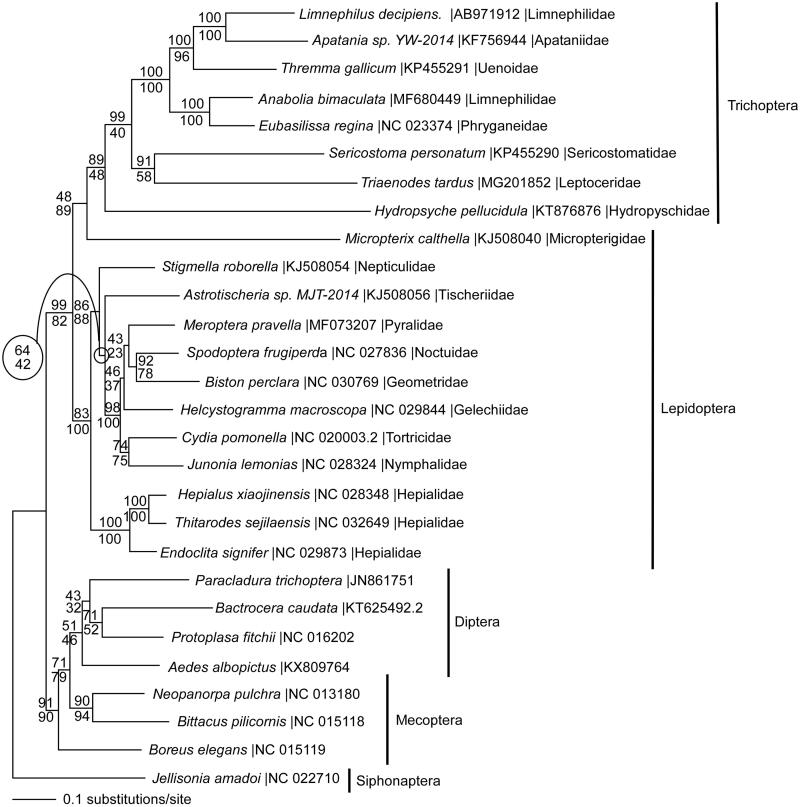 Figure 1.