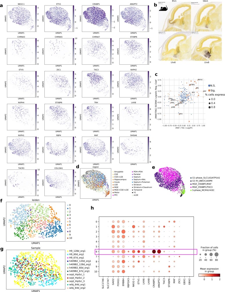 Extended Data Fig. 6