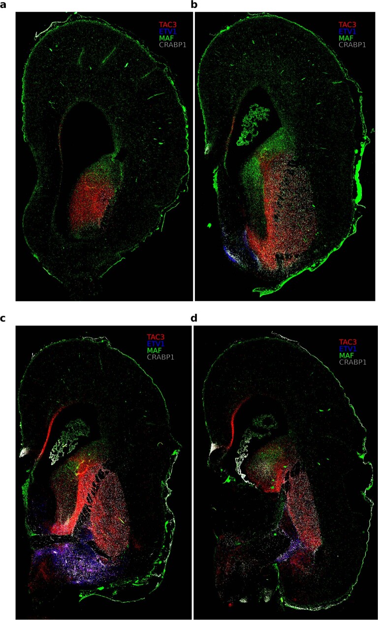 Extended Data Fig. 8