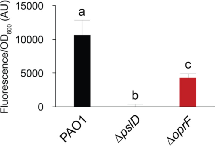 Figure 5.