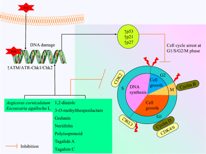 FIGURE 4