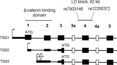 Figure 3.