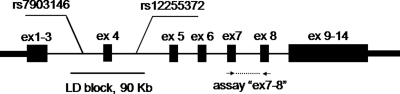 Figure 1.