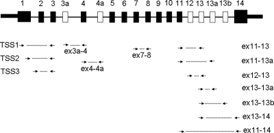 Figure 4.