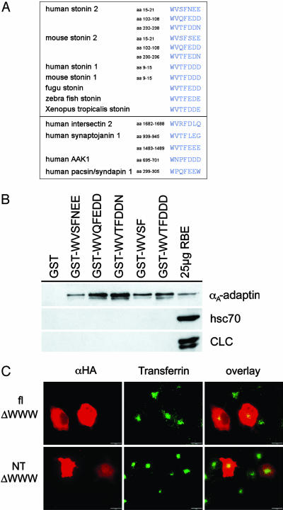 Fig. 4.