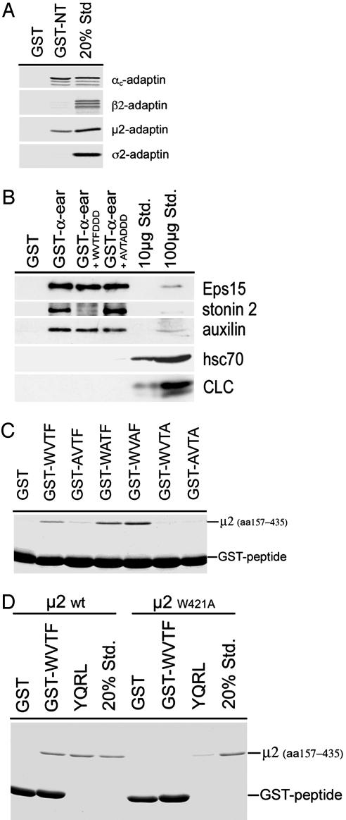 Fig. 5.