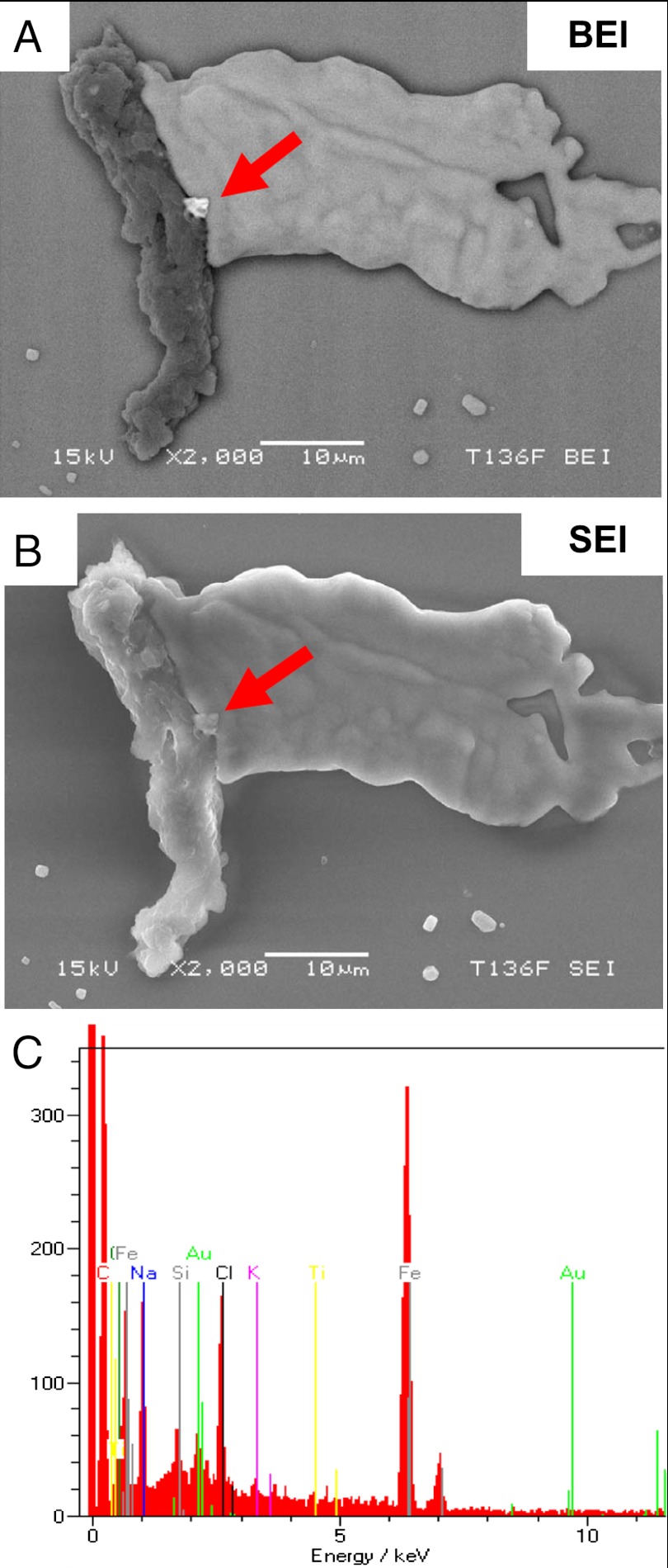 Fig. 3.