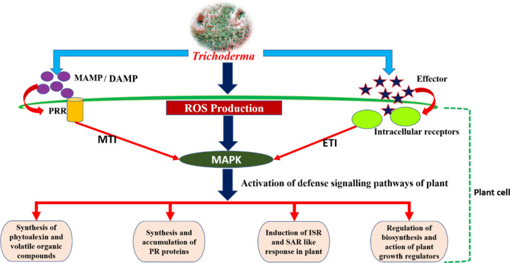 Figure 4