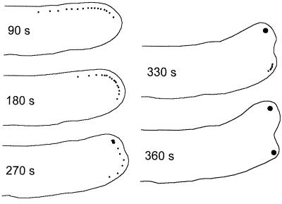 Figure 8