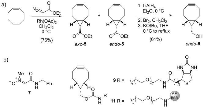 Scheme 2