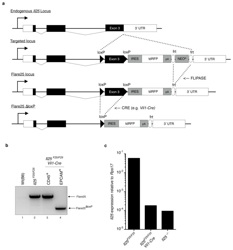 Extended Data Figure 1