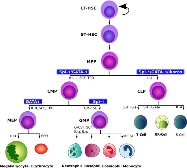 Fig. 2