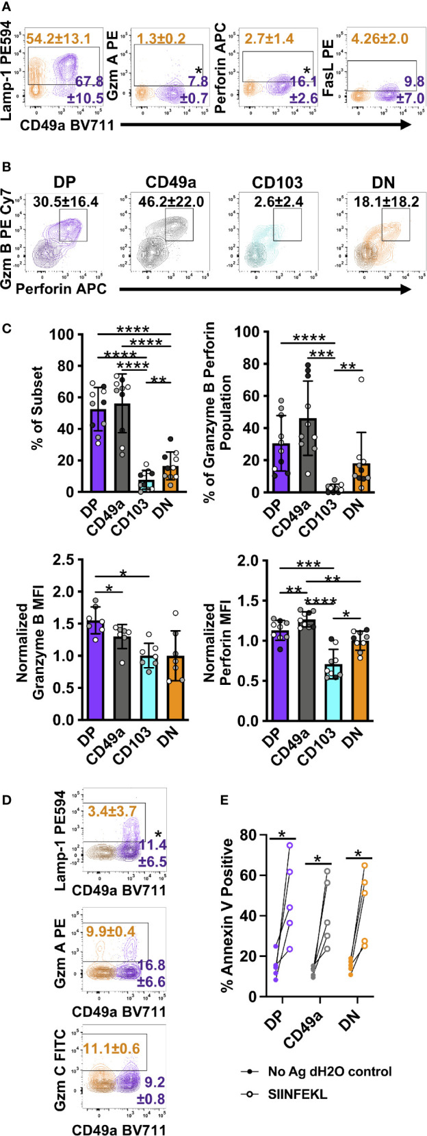 Figure 7