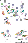 Figure 2.