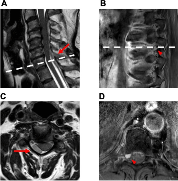 Fig. 6