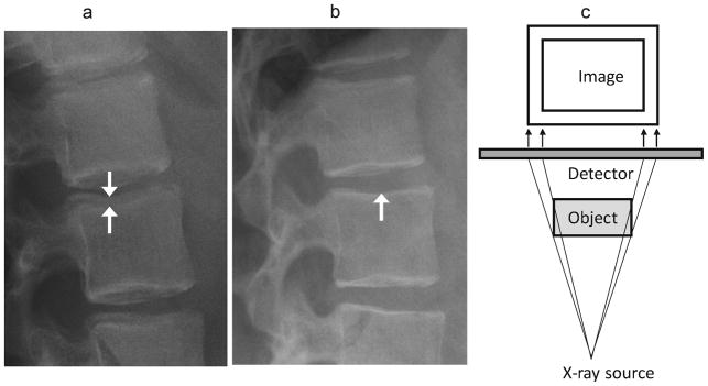 Fig. 10