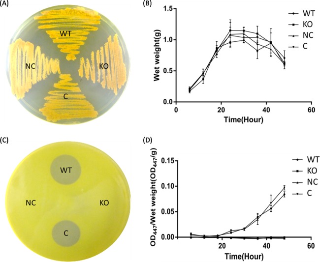 FIG 2