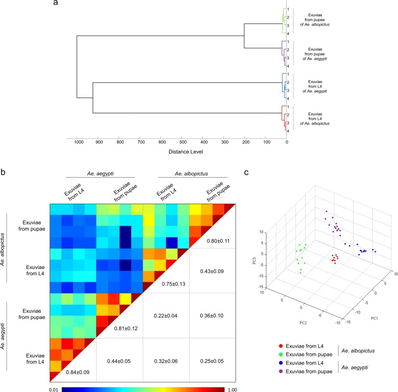Fig. 2