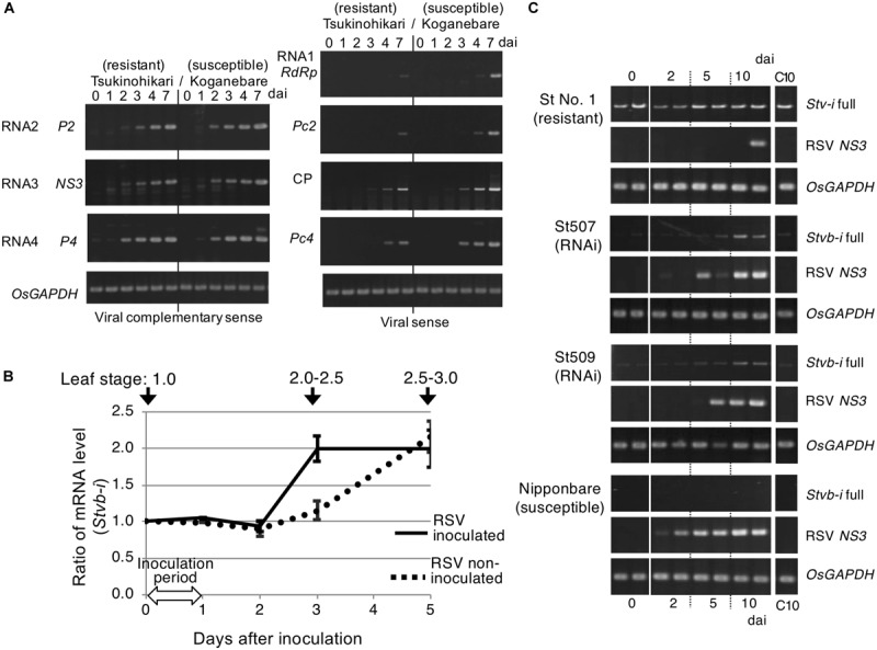 FIGURE 3