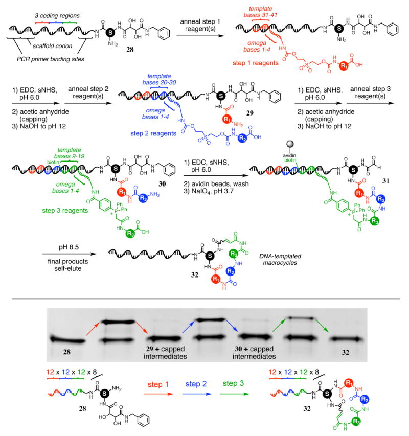 Figure 14