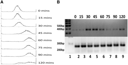 Figure 4.