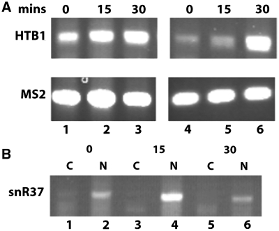 Figure 7.