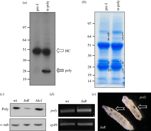 Figure 3.