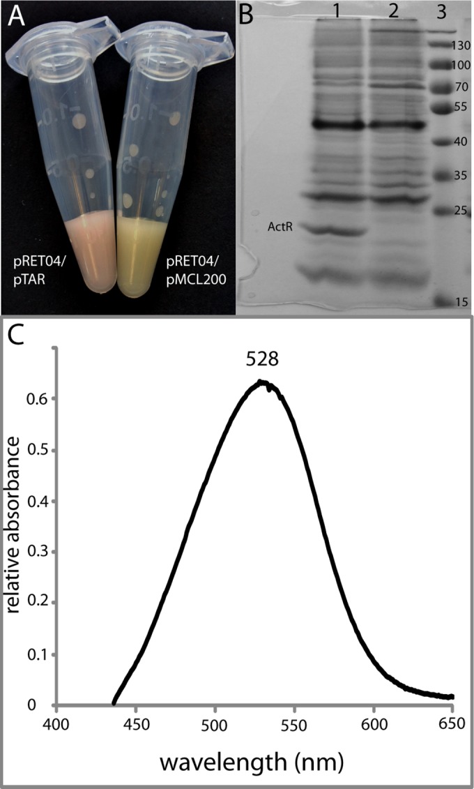 FIG 3